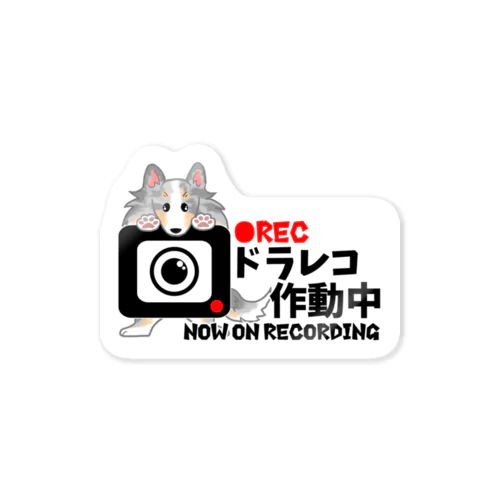 ドラレコ録画中＠ブルーマールシェルティー Sticker