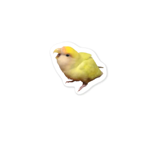 コザクラインコのおこ Sticker