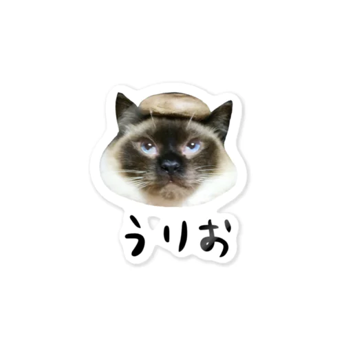 椎茸を被ったうりお君 Sticker