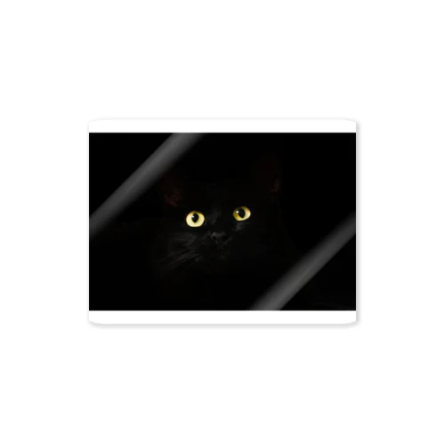 Black cat　黒猫　 Sticker