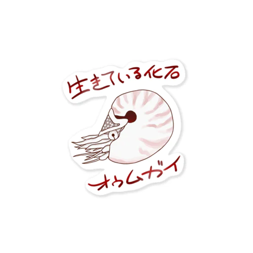 生きている化石・オウムガイさんのステッカー♪（深海生物シリーズ） Sticker