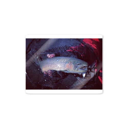 スプーンで釣られた魚。 Sticker