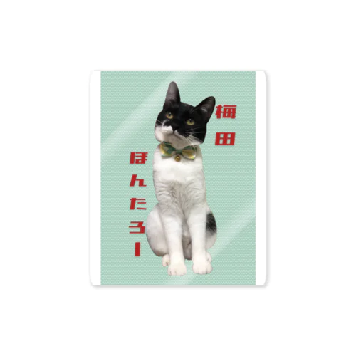梅田ぽんたろーステッカー猫 Sticker