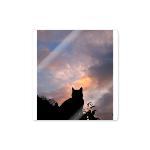 sunset cat Sticker