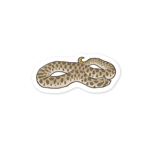 Hognose snake Kawaii 【Nomal】 Sticker