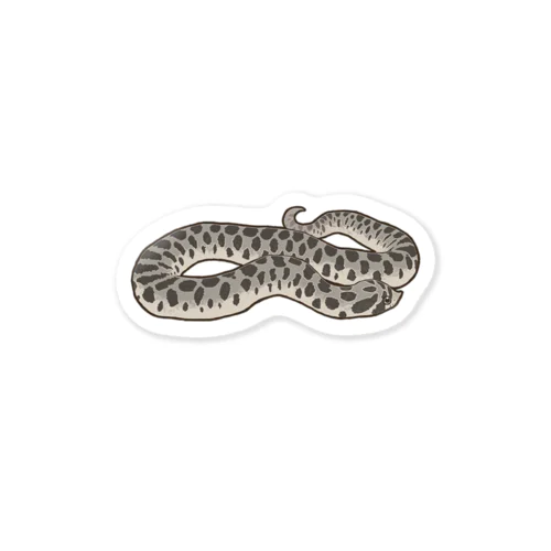 Hognose snake Kawaii 【Axan】 Sticker