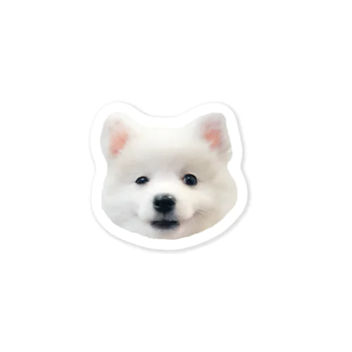 何かを企む犬　ステッカー Sticker