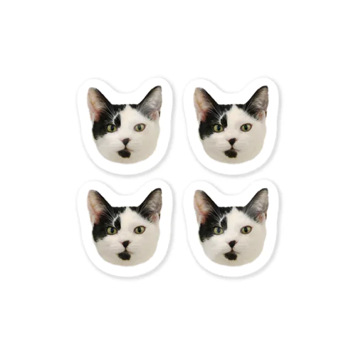 猫のニニコ　フレークシール Sticker