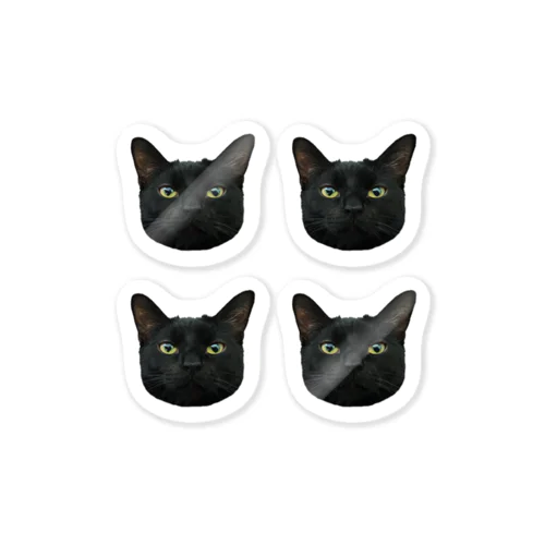 猫の九太郎 フレークシール Sticker