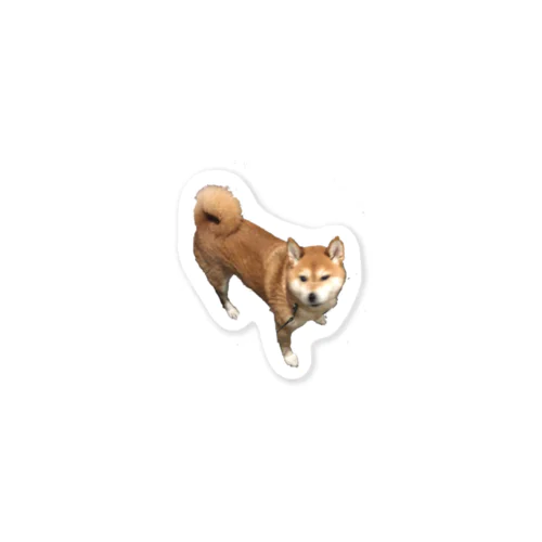 ブレ犬 Sticker