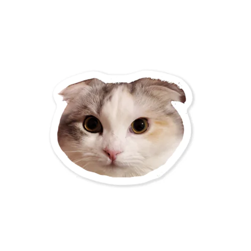 猫＊める Sticker