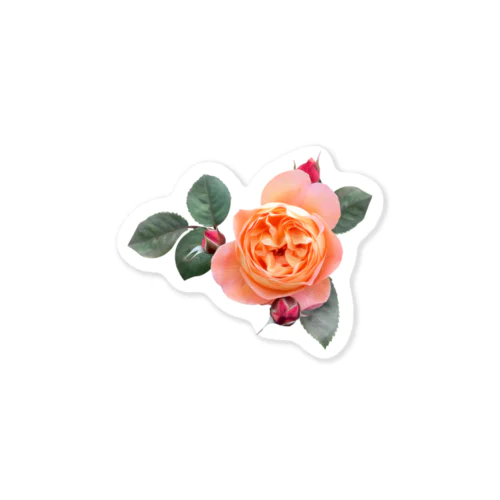 【ロマン】蕾と葉のついたオレンジピンクの薔薇 ステッカー