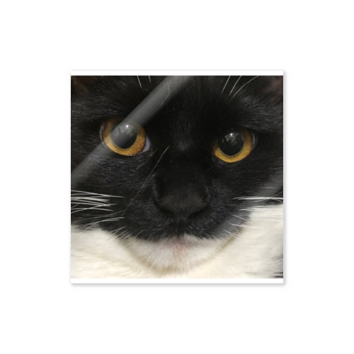 猫の目リン Sticker