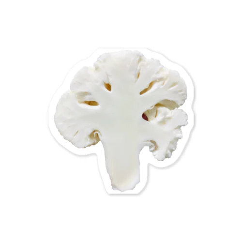 素材の断面・カリフラワー Sticker