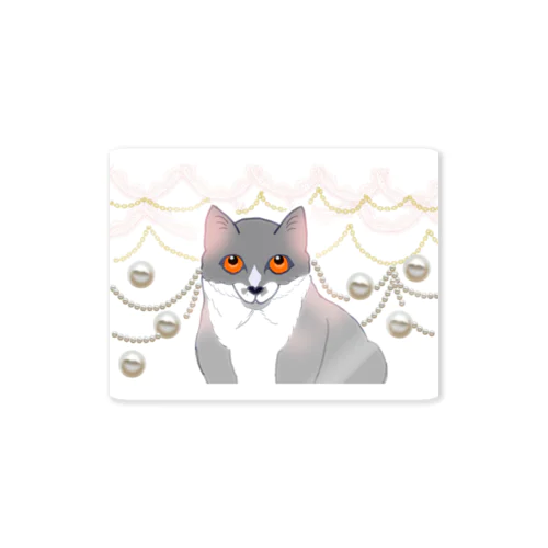 愛らしい子猫の上目遣い Sticker