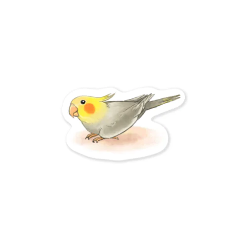 オカメインコ　レキ【まめるりはことり】 Sticker