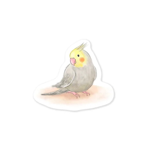 オカメインコ　シナモン【まめるりはことり】 Sticker