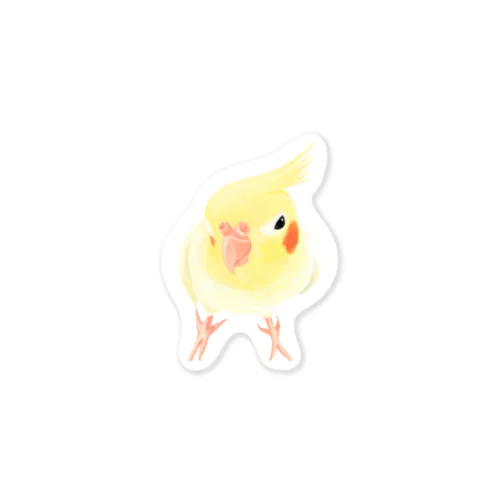 オカメインコ　おすましルチノー【まめるりはことり】 Sticker