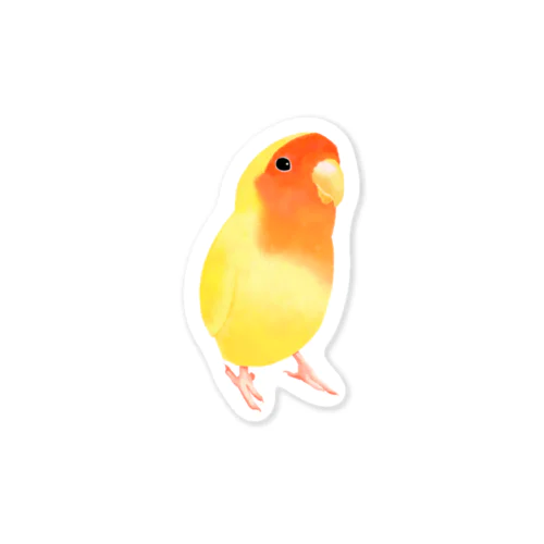 コザクラインコ　おすましルチノー【まめるりはことり】 Sticker