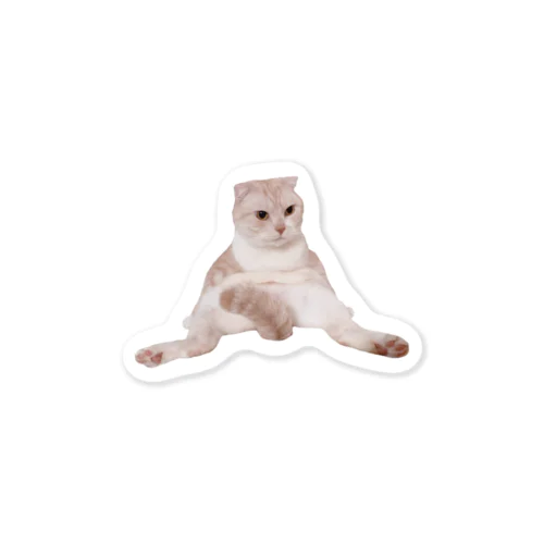 ミヤオくんスコ座り Sticker