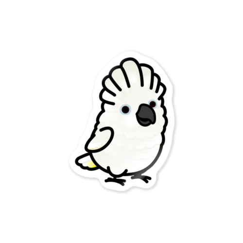 Chubby Bird タイハクオウム Sticker