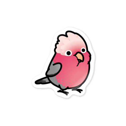 Chubby Bird モモイロインコ ステッカー