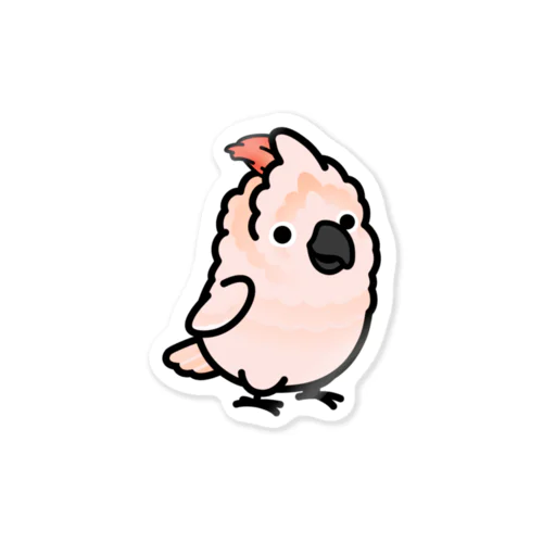 Chubby Bird　オオバタン ステッカー