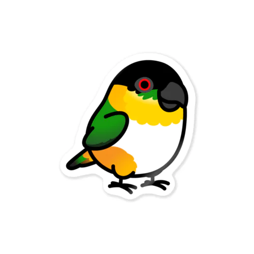 Chubby Bird ズグロシロハラインコ ステッカー