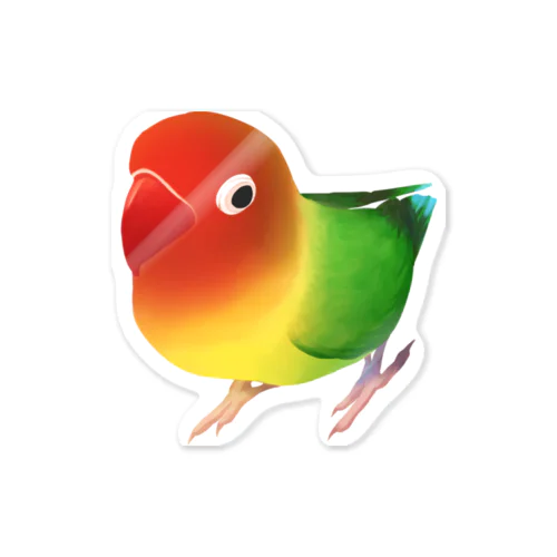 ボタンインコ　おすましルリゴシボタンインコ【まめるりはことり】 Sticker