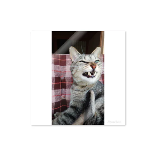 キジトラ猫ミミさん Sticker