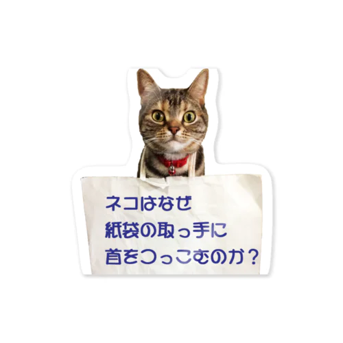 ネコはなぜ？ Sticker