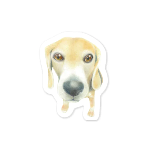 BEAGLE Sticker