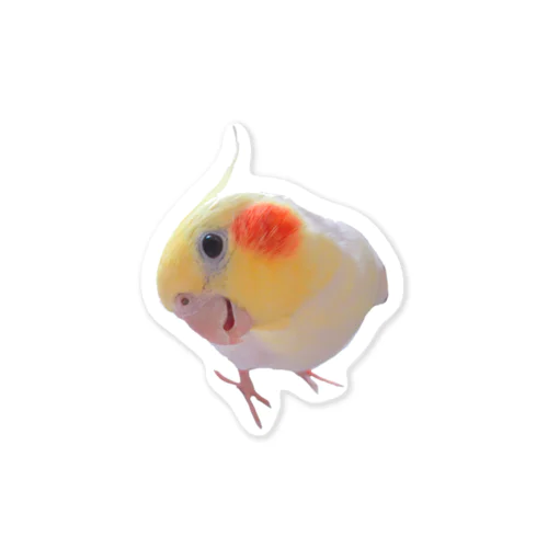 オカメインコのかおるくん Sticker