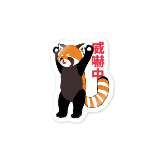 威嚇レッサーパンダ Sticker