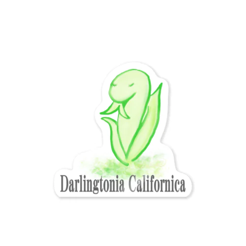 Darlingtonia Californica ステッカー