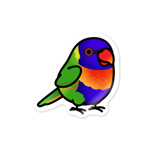 Chubby Bird ゴシキセイガイインコ　ロリキート Sticker