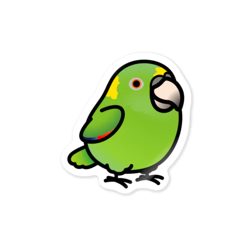 Chubby Bird キエリボウシインコ ステッカー