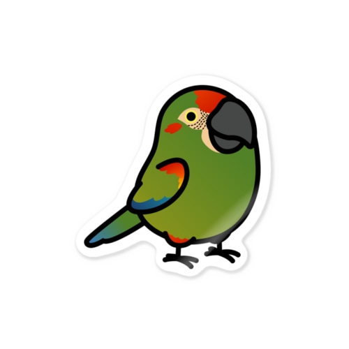 Chubby Bird アカミミコンゴウインコ Sticker