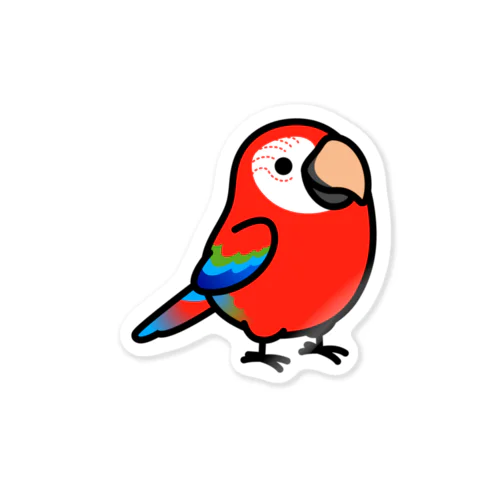 Chubby Bird ベニコンゴウインコ Sticker