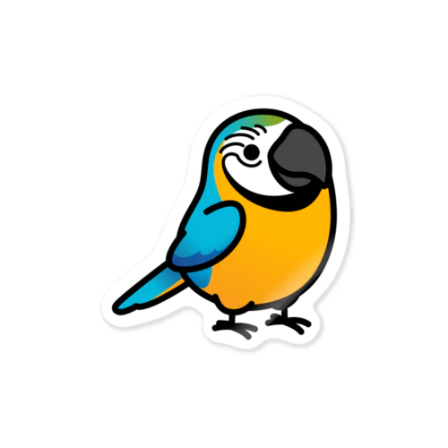 Chubby Bird ルリコンゴウインコ Sticker