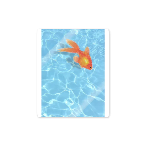 カクカク金魚 Sticker