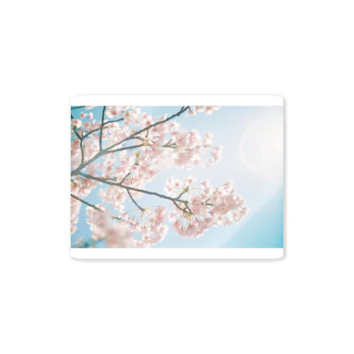 キラメクセカイ-桜- Sticker