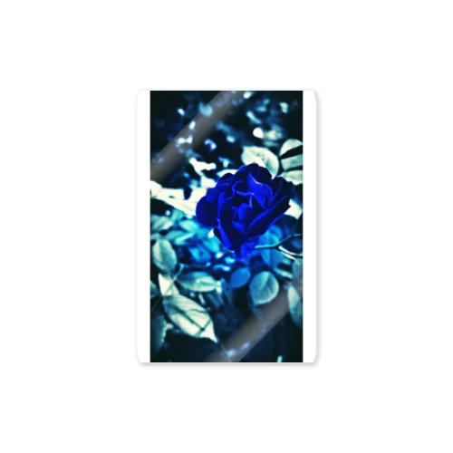 Blue Rose　幸運の青い薔薇 Sticker