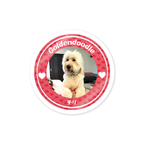 ゴールデンドゥードル Sticker