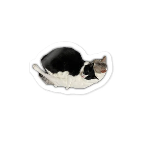 大好きすぎる猫 Sticker