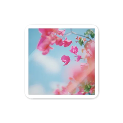 【 summer memory 】 sky flower Sticker