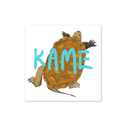 KAME-ニホンイシガメver.- Sticker