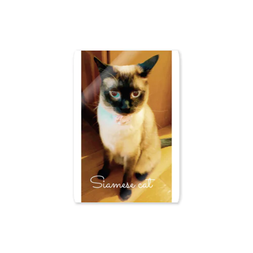 Siamese cat シャム猫 Sticker