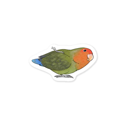 おすましコザクラインコ　きなこちゃん【まめるりはことり】 Sticker