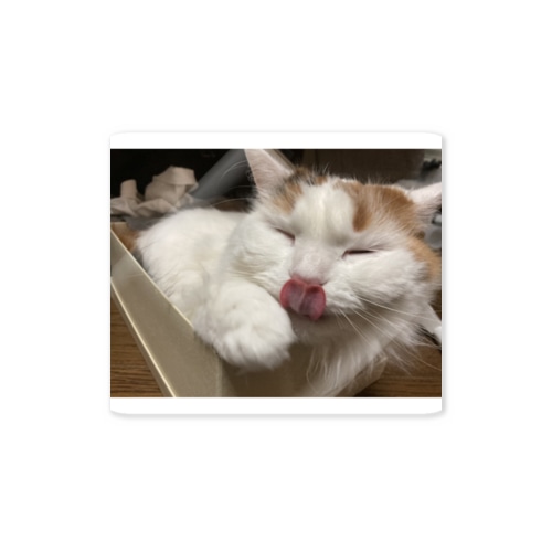 ペロンみみ Sticker